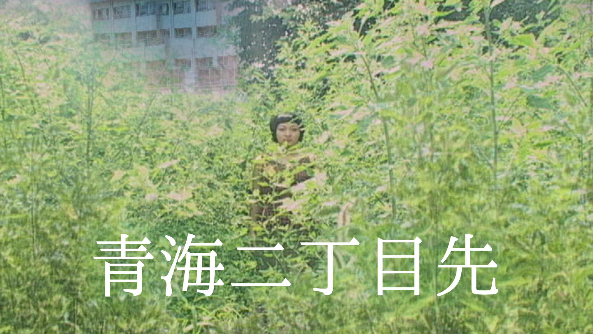 青海二丁目先 - サムネイル