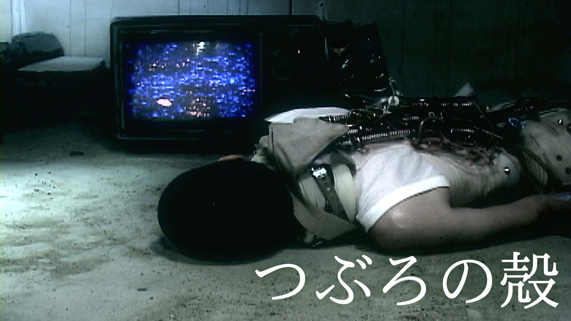 つぶろの殻 - サムネイル