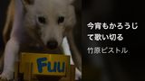 今宵もかろうじて歌い切る