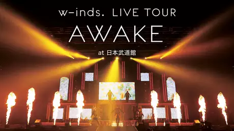 LIVE TOUR “AWAKE" at 日本武道館