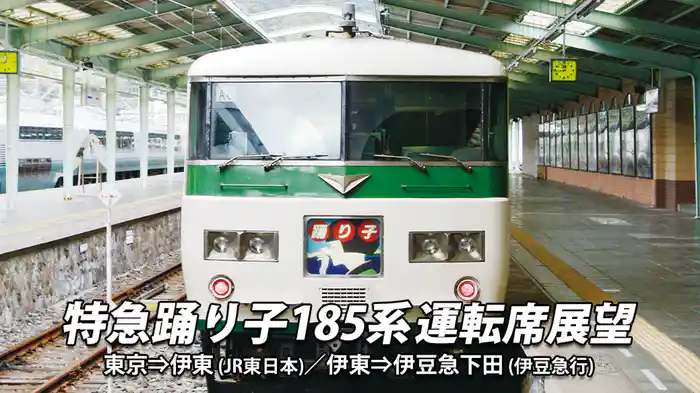 特急踊り子185系運転席展望 東京→伊豆下田