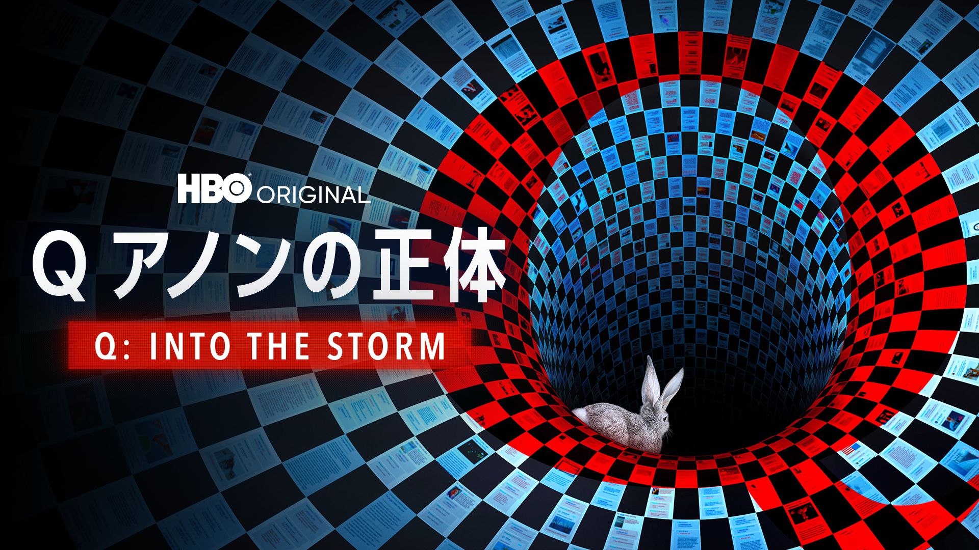 Qアノンの正体 / Q: INTO THE STORM