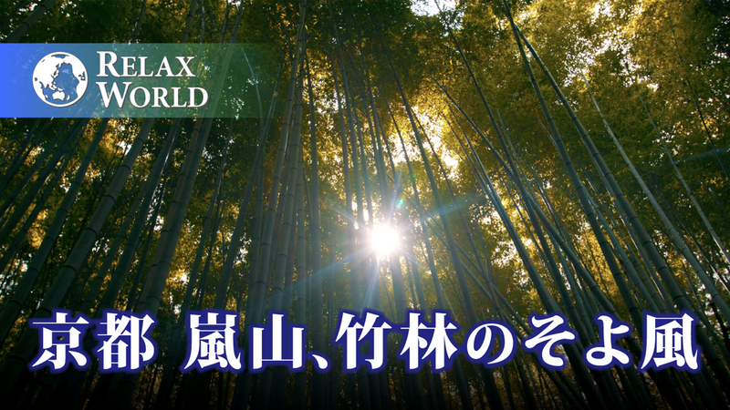 京都 嵐山、竹林のそよ風【RELAX WORLD】