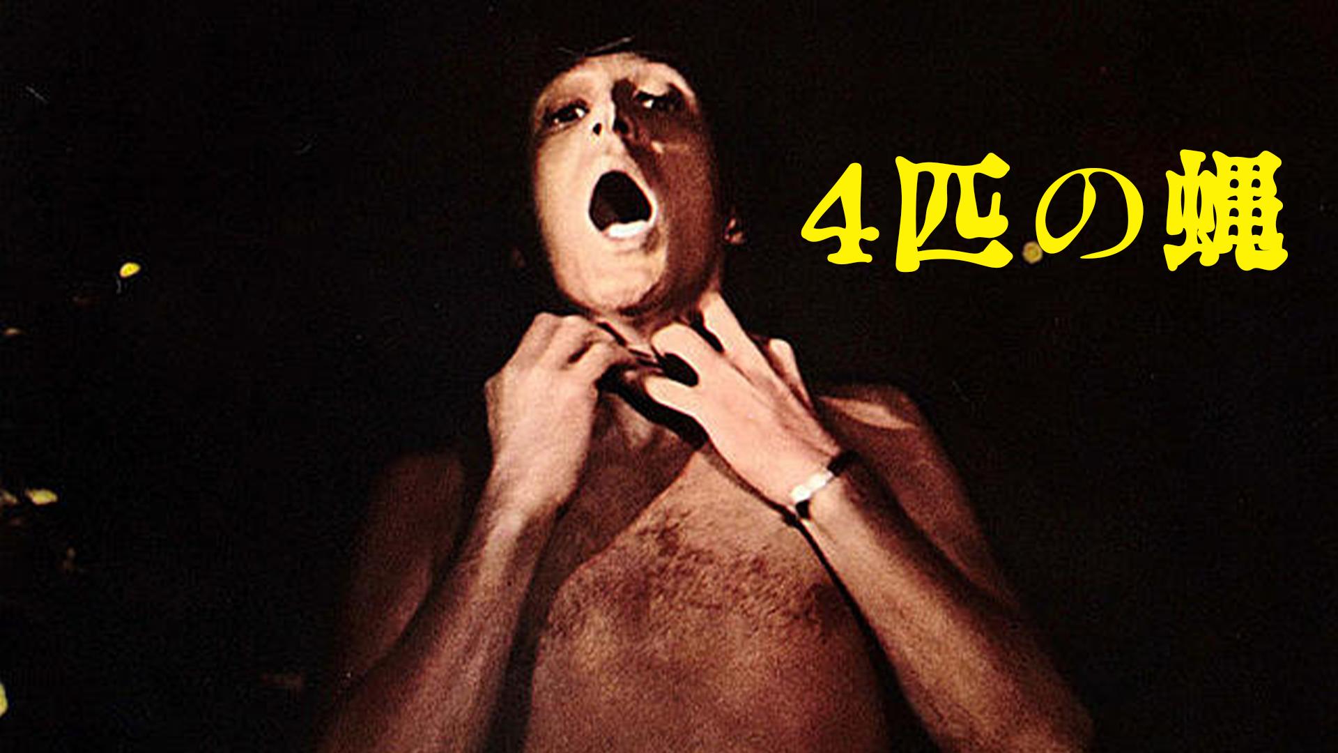 ４匹の蝿 - サムネイル