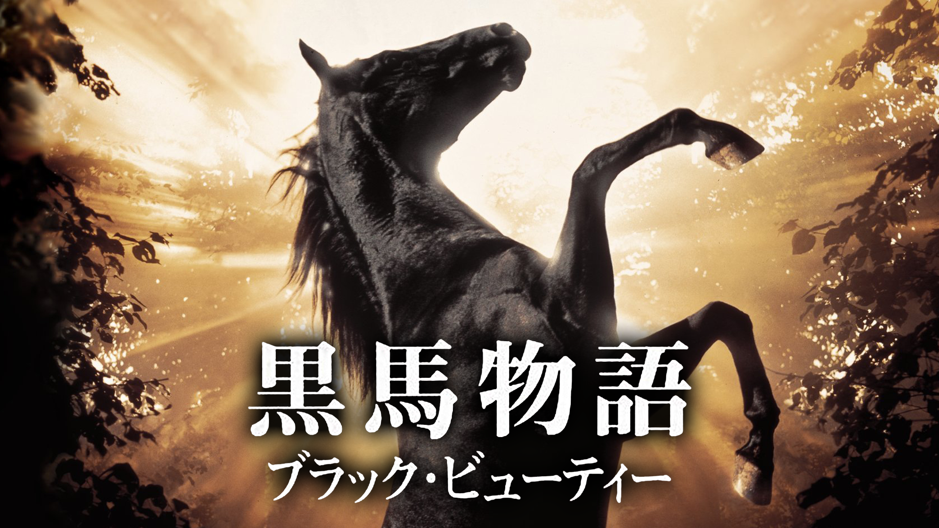ブラック・ビューティー／黒馬物語 - サムネイル
