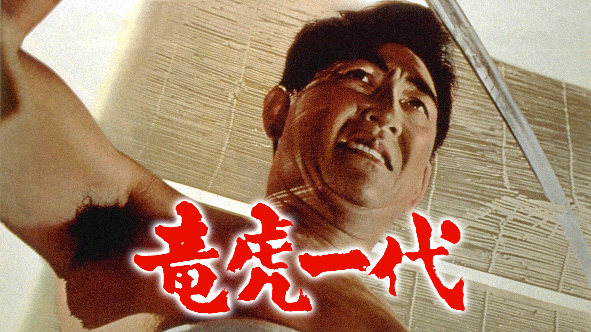竜虎一代 - サムネイル