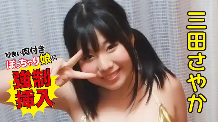 三田さやか『程良い肉付きぽっちゃり娘に強制挿入』