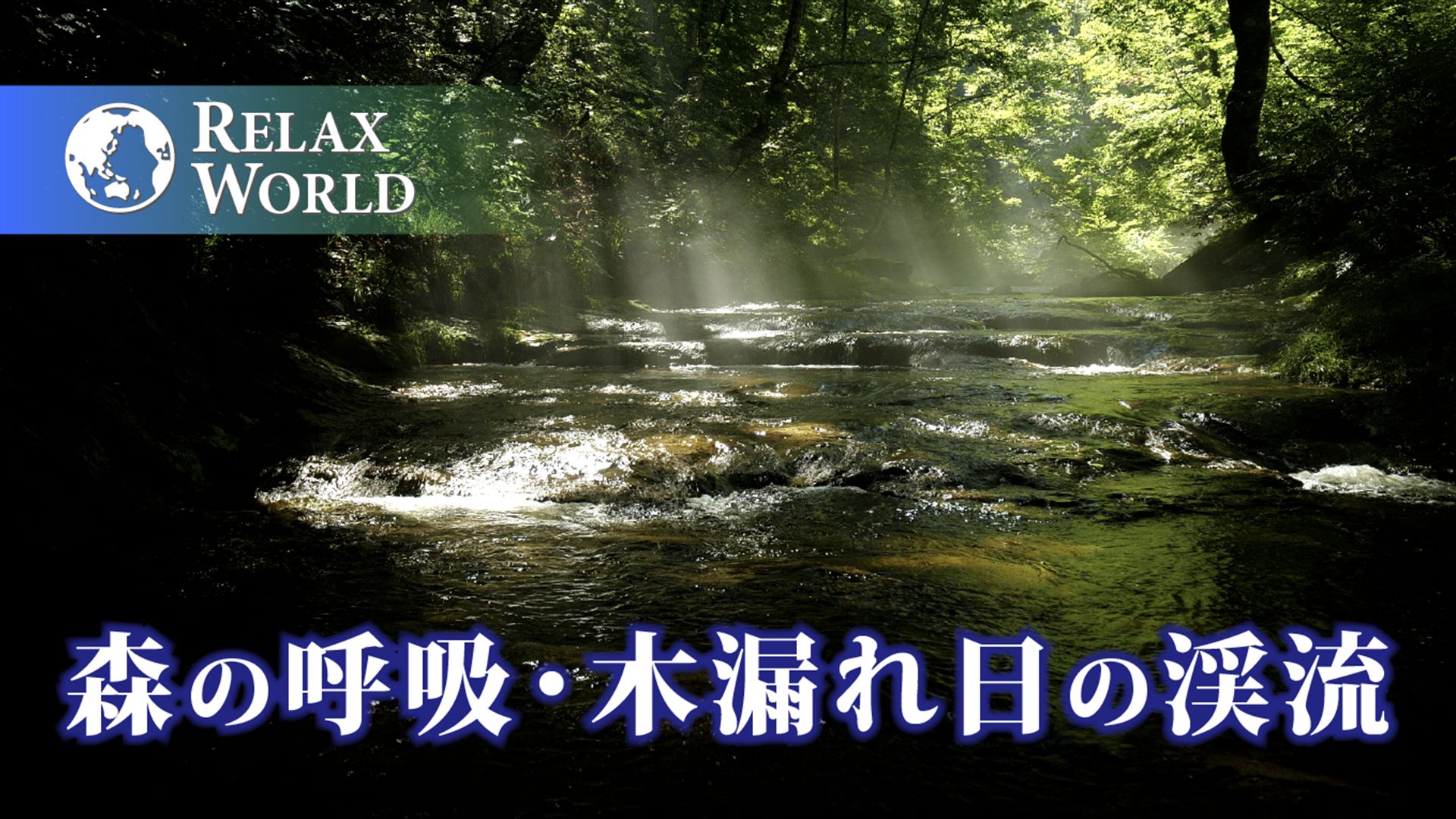 森の呼吸・木漏れ日の渓流【RELAX WORLD】