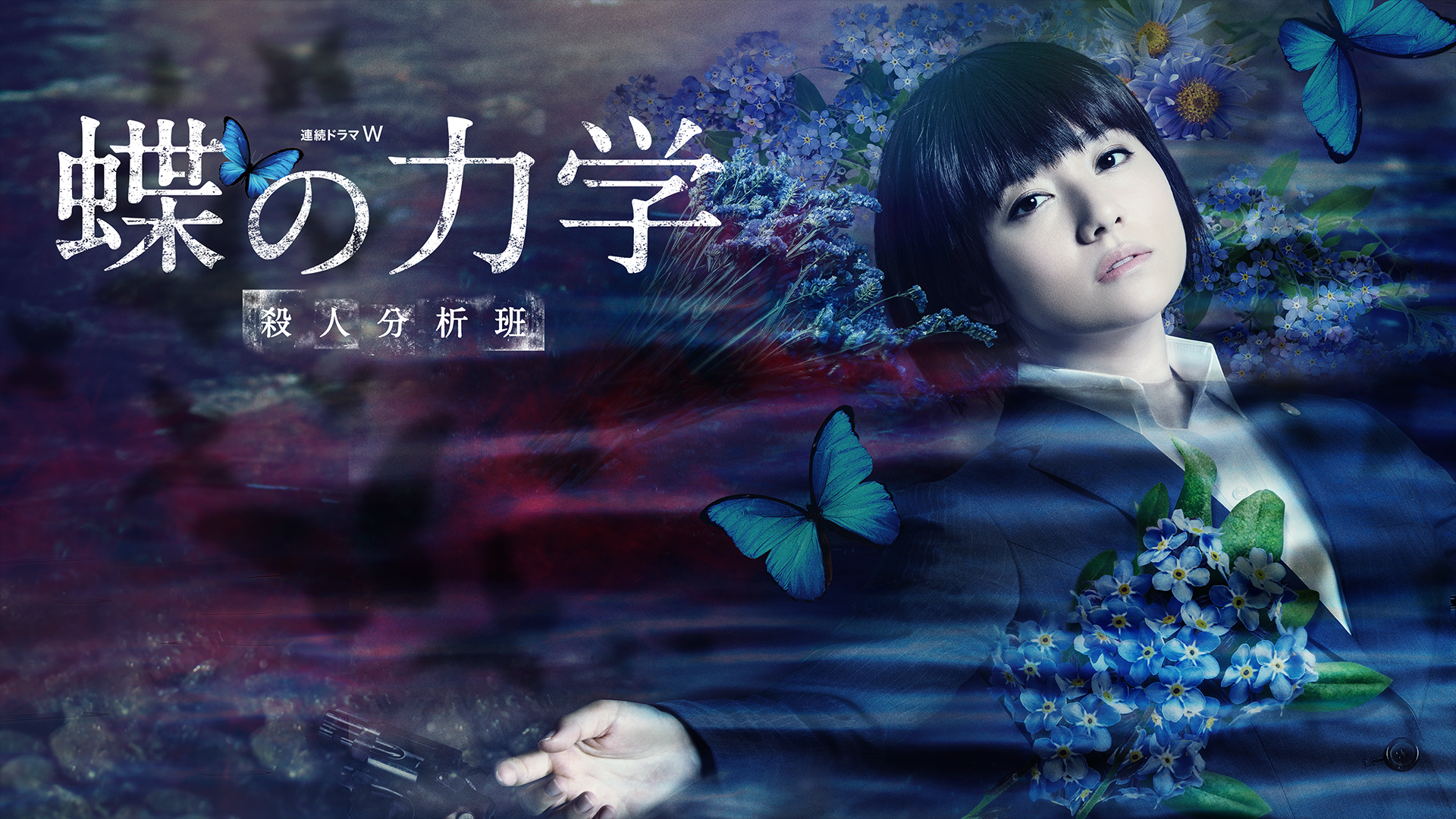 石の繭 水晶の鼓動 蝶の力学 悪の波動 殺人分析班 DVD ドラマ 木村文乃 石の繭』、『水晶の鼓動』から『悪の波動』『蝶の力学』へ