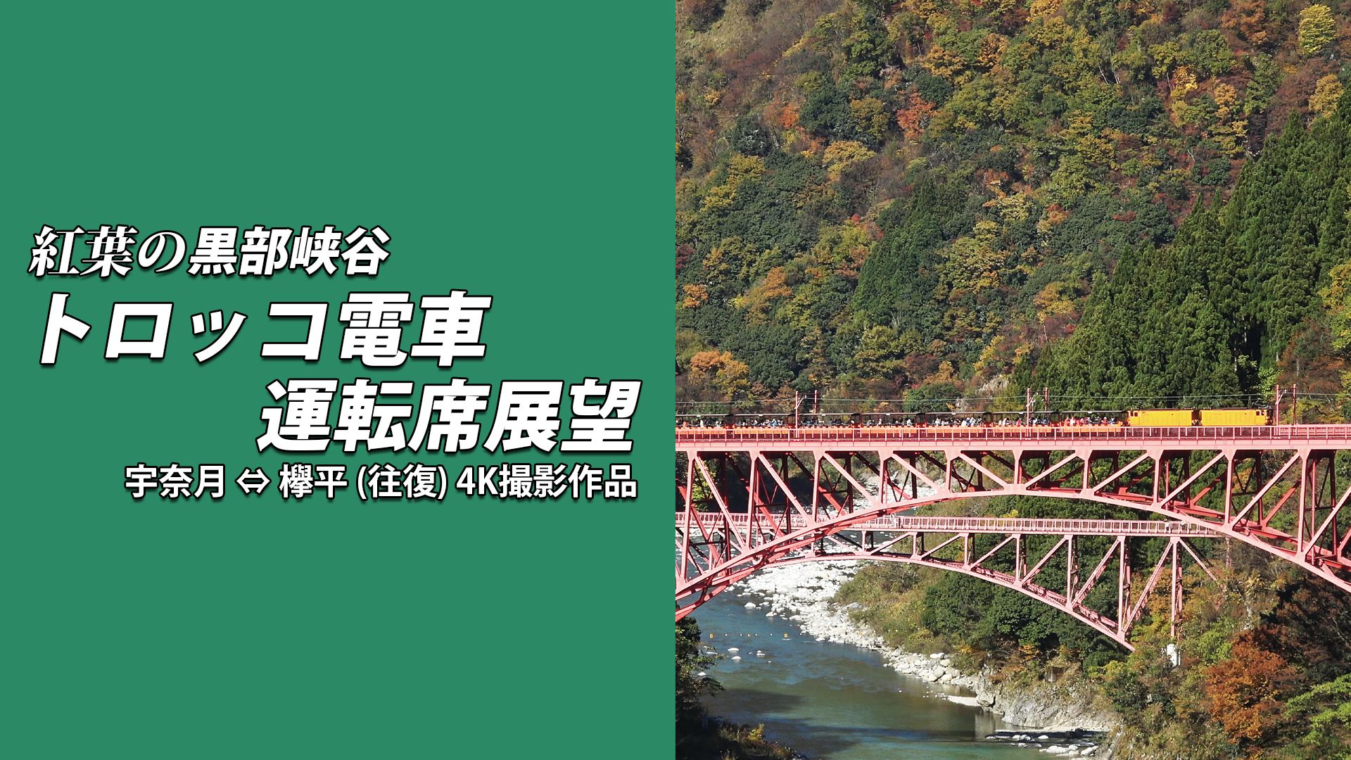 紅葉の黒部峡谷トロッコ電車運転席展望