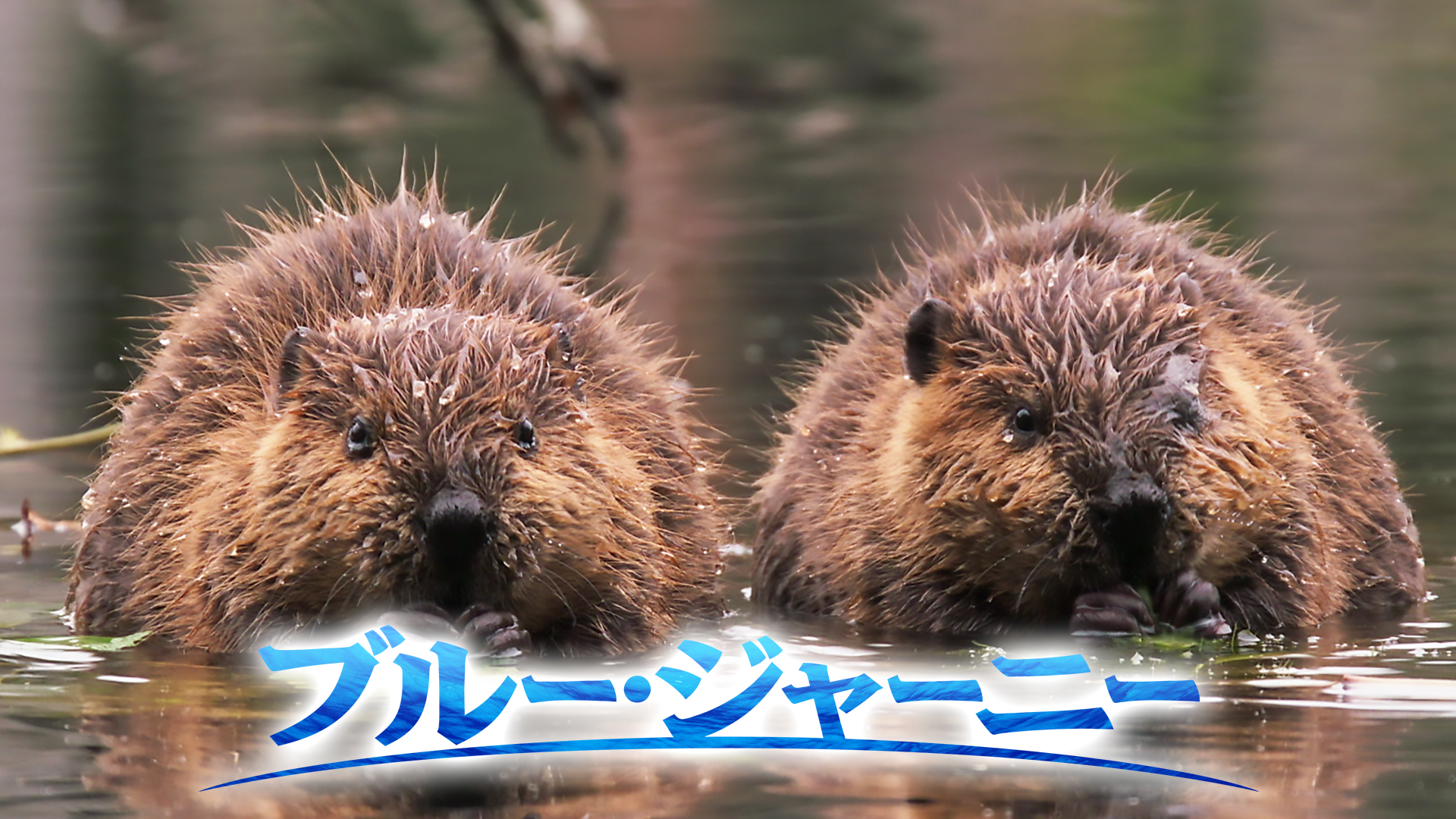 ブルー・ジャーニー - サムネイル