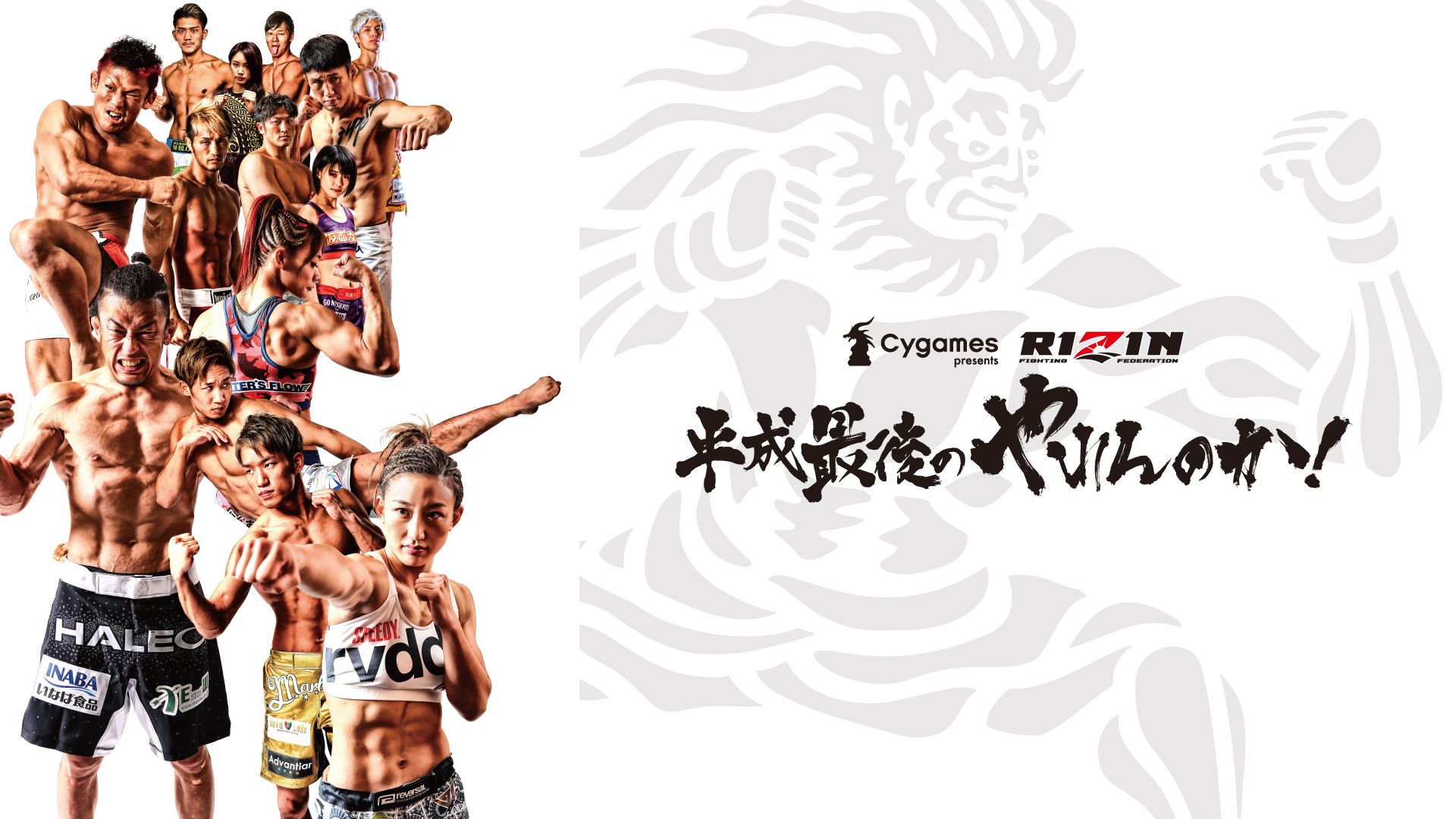 Cygames presents RIZIN 平成最後のやれんのか!