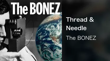 Thread & Needle