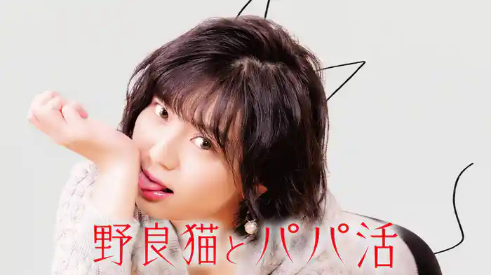 野良猫とパパ活