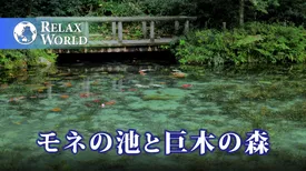 モネの池と巨木の森【RELAX WORLD】