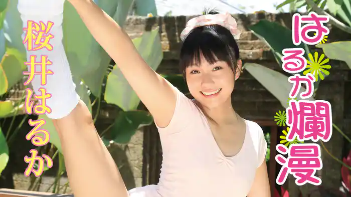 桜井はるか『はるか爛漫』