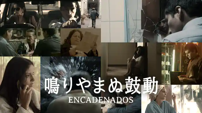 鳴りやまぬ鼓動