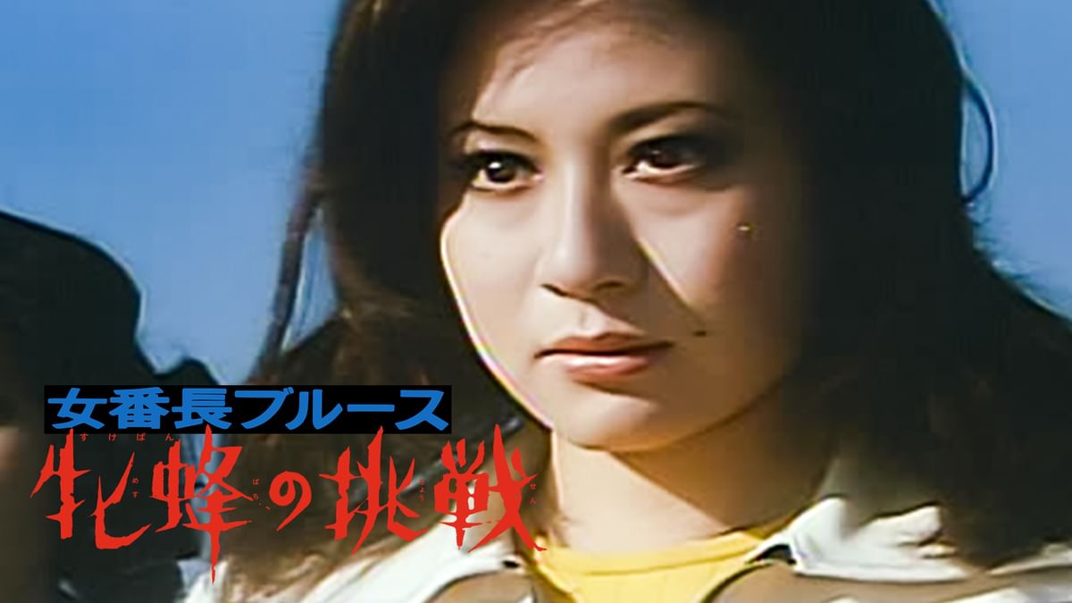 ★池玲子★女番長ブルース 牝蜂の挑戦 廃盤7インチ 昭和フェロモン歌謡 !!! Amazon.co.jp: 女番長ブルース 牝蜂の挑戦／池玲子,宮内洋,杉本
