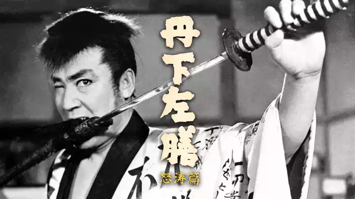 丹下左膳 怒濤篇