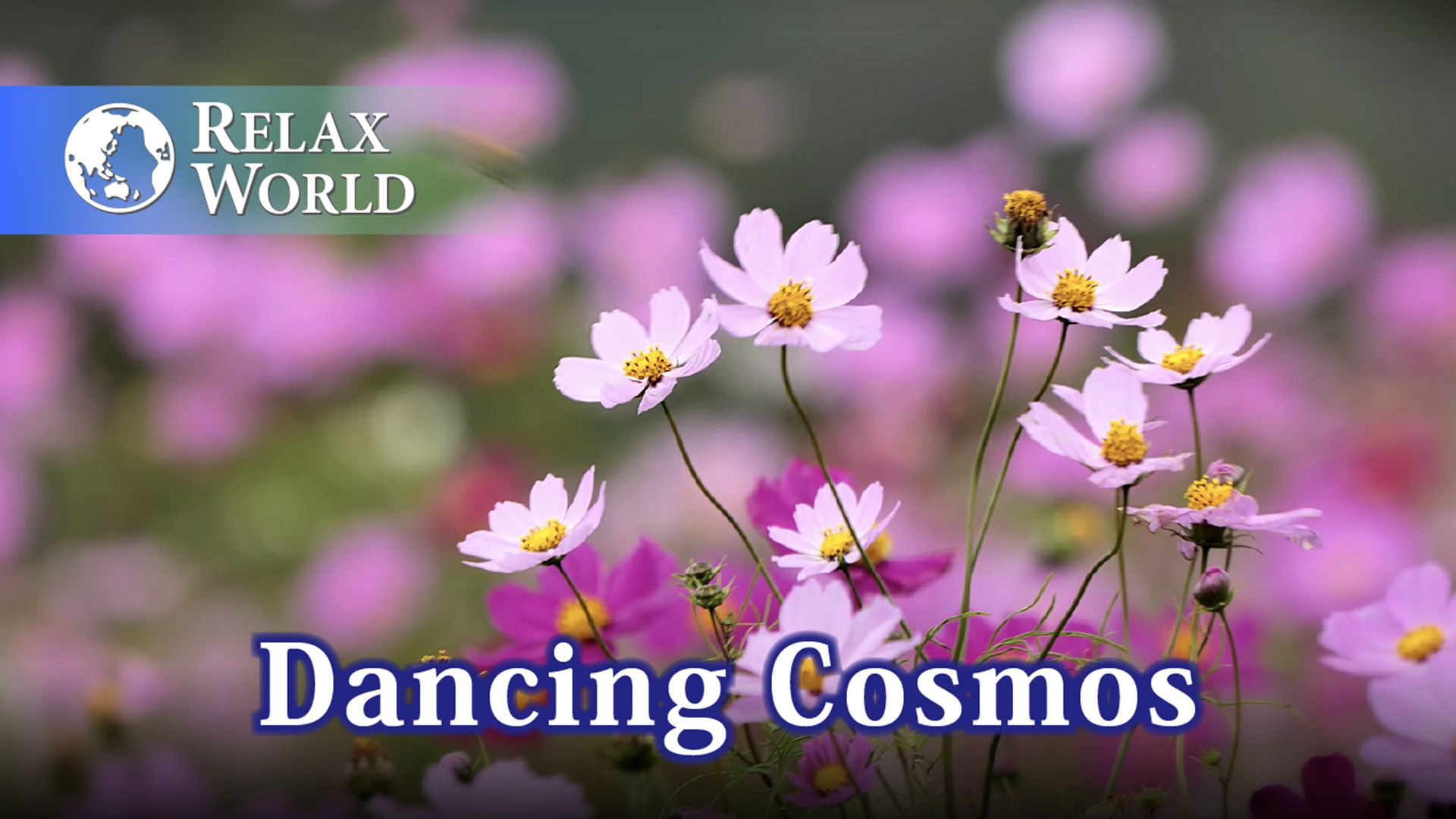 Dancing Cosmos【RELAX WORLD】