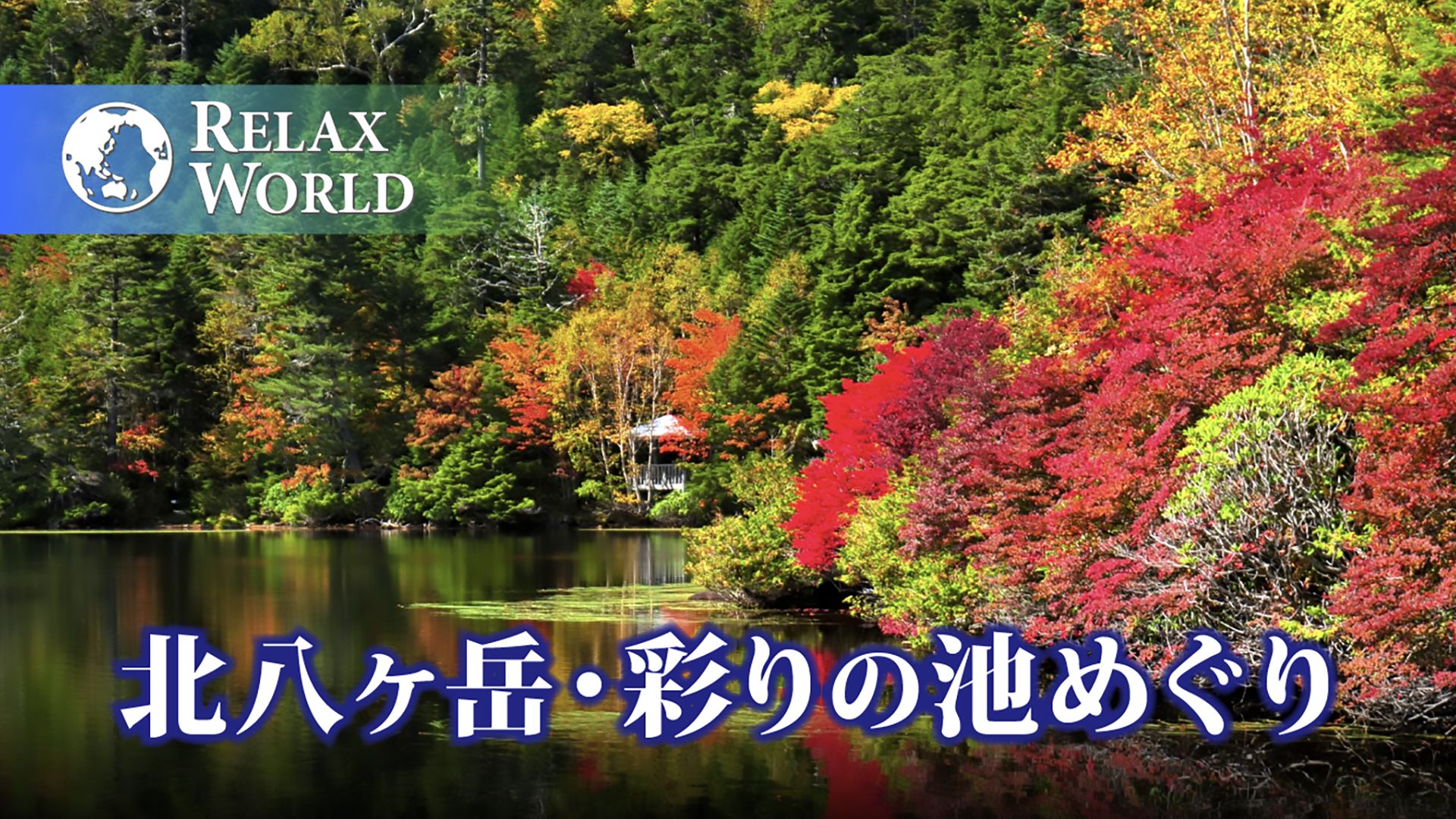 北八ヶ岳・彩りの池めぐり【RELAX WORLD】