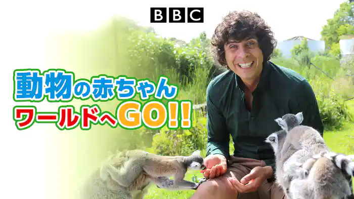 動物の赤ちゃんワールドへGO!!