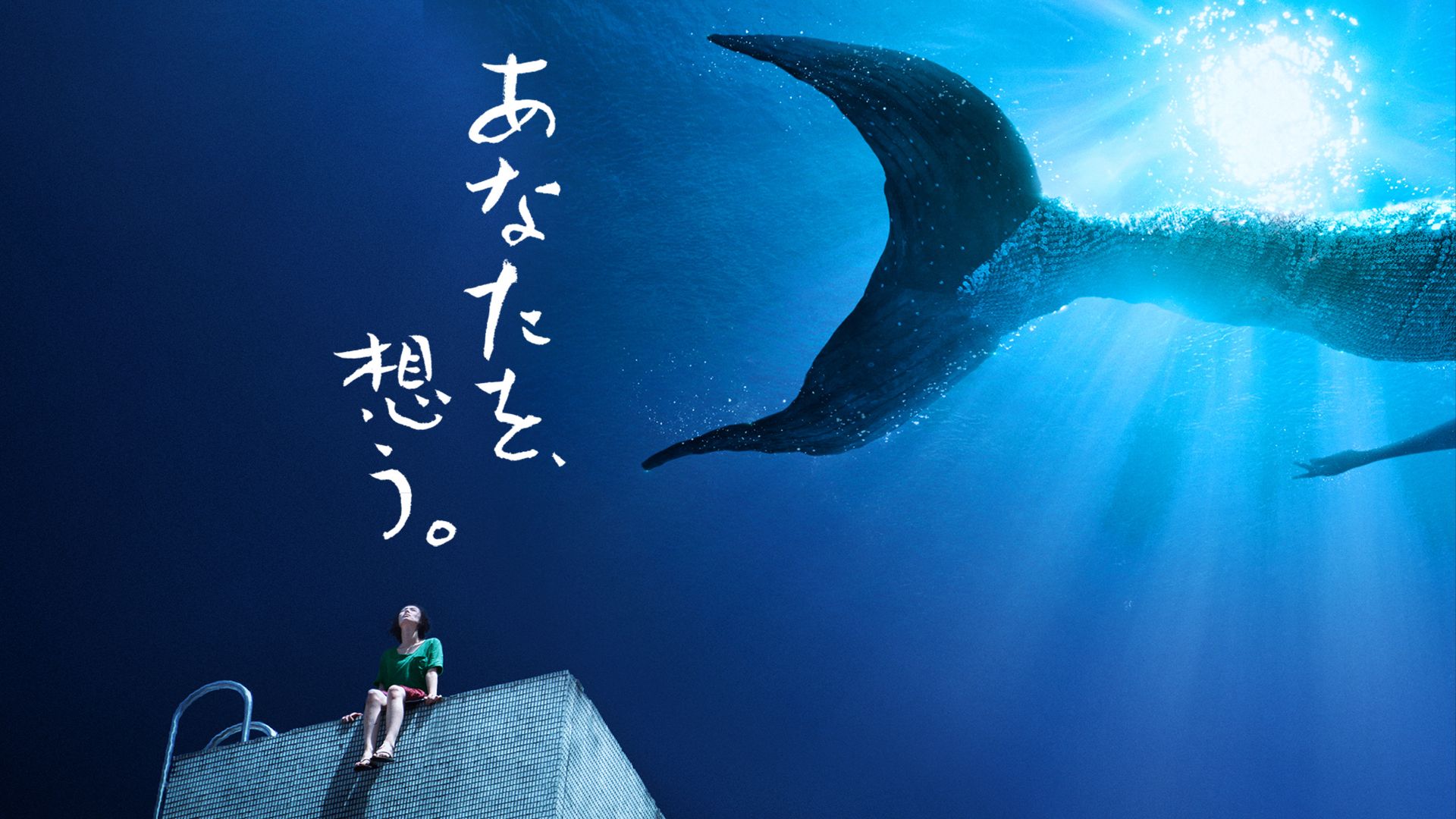 あなたを、想う