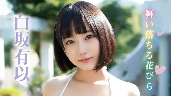 白坂有以『舞い落ちる花びら』