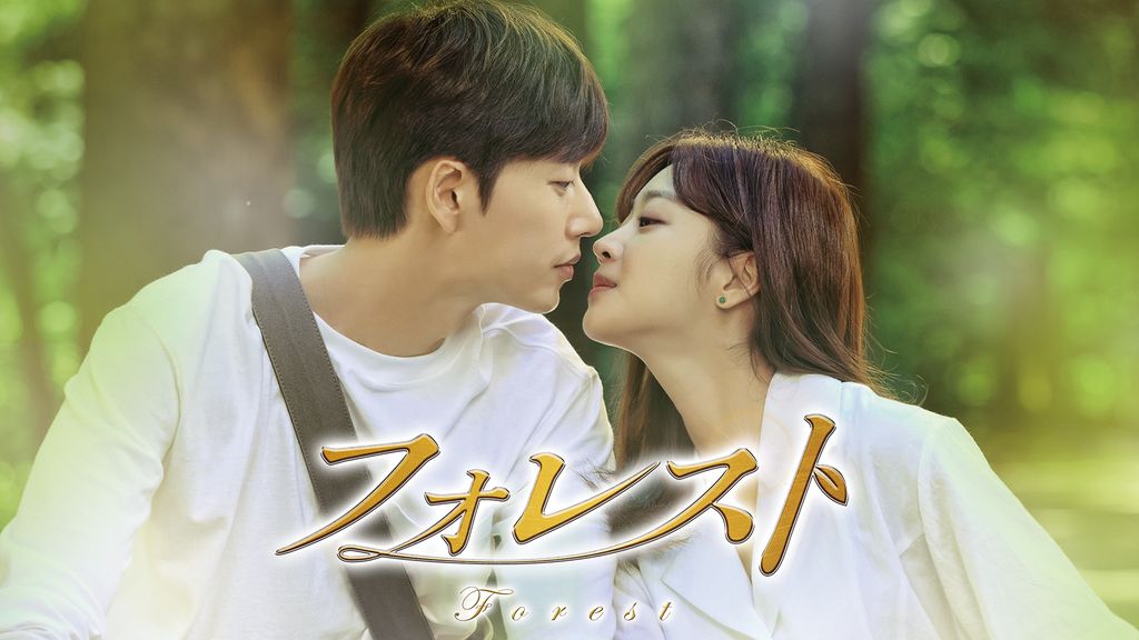 日本版　フォレスト　Forest　全13巻 パク・ヘジン　　韓流　DVD フォレスト 全13巻 全巻セット DVD 韓国ドラマ パク・ヘジン