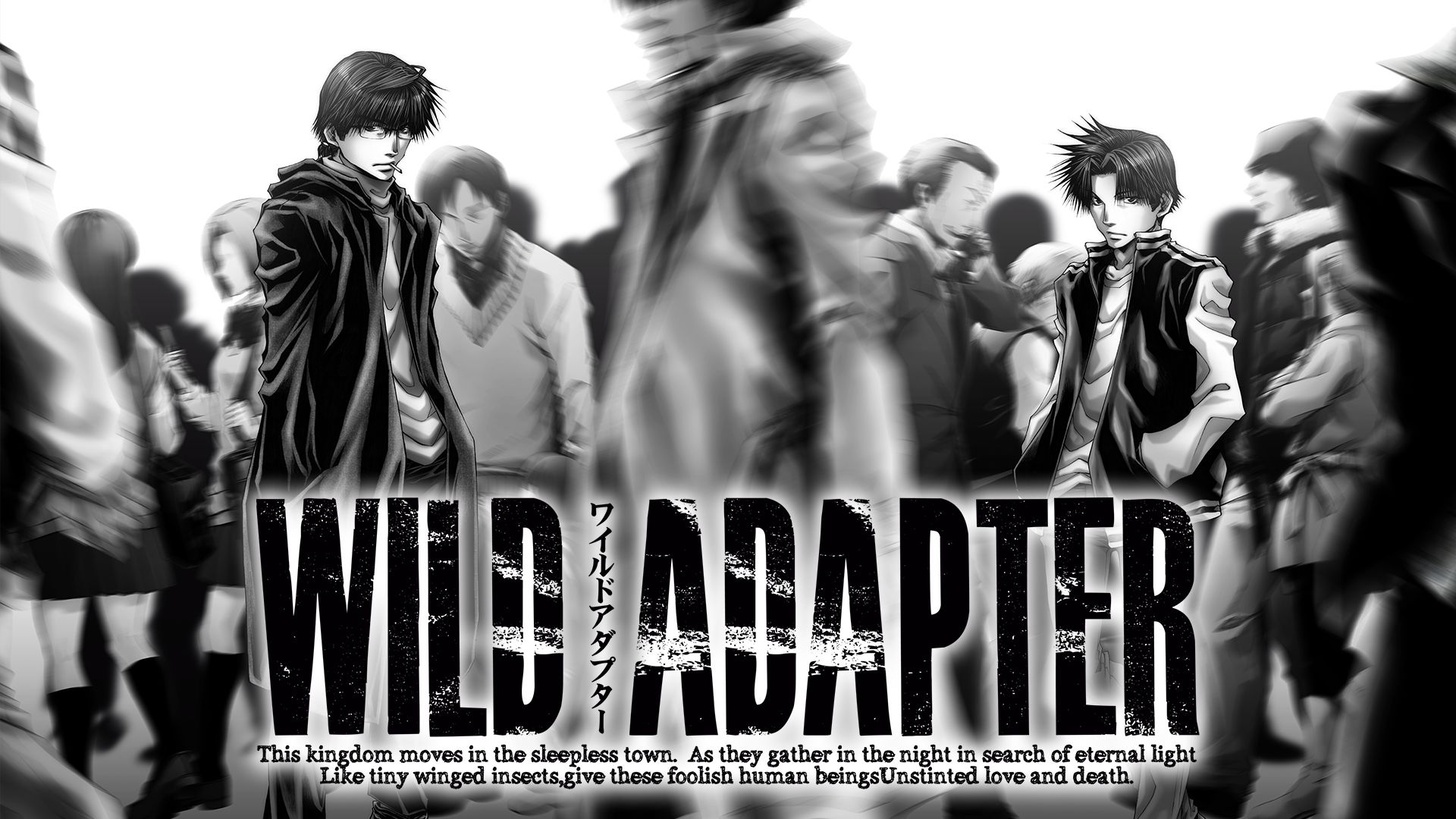 WILD ADAPTER