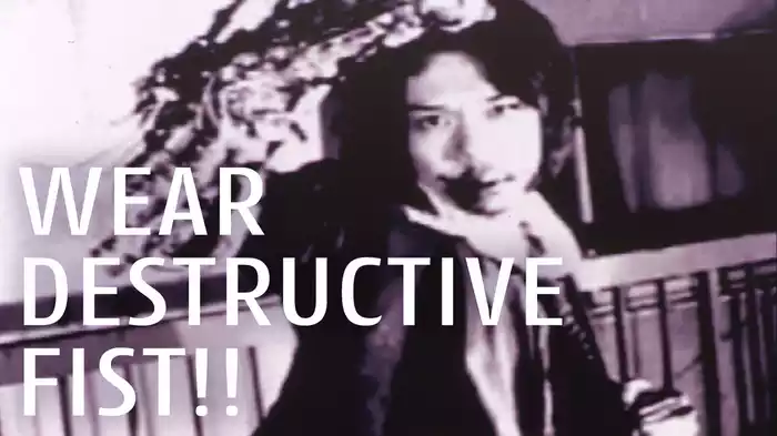 WEAR DESTRUCTIVE FIST!!