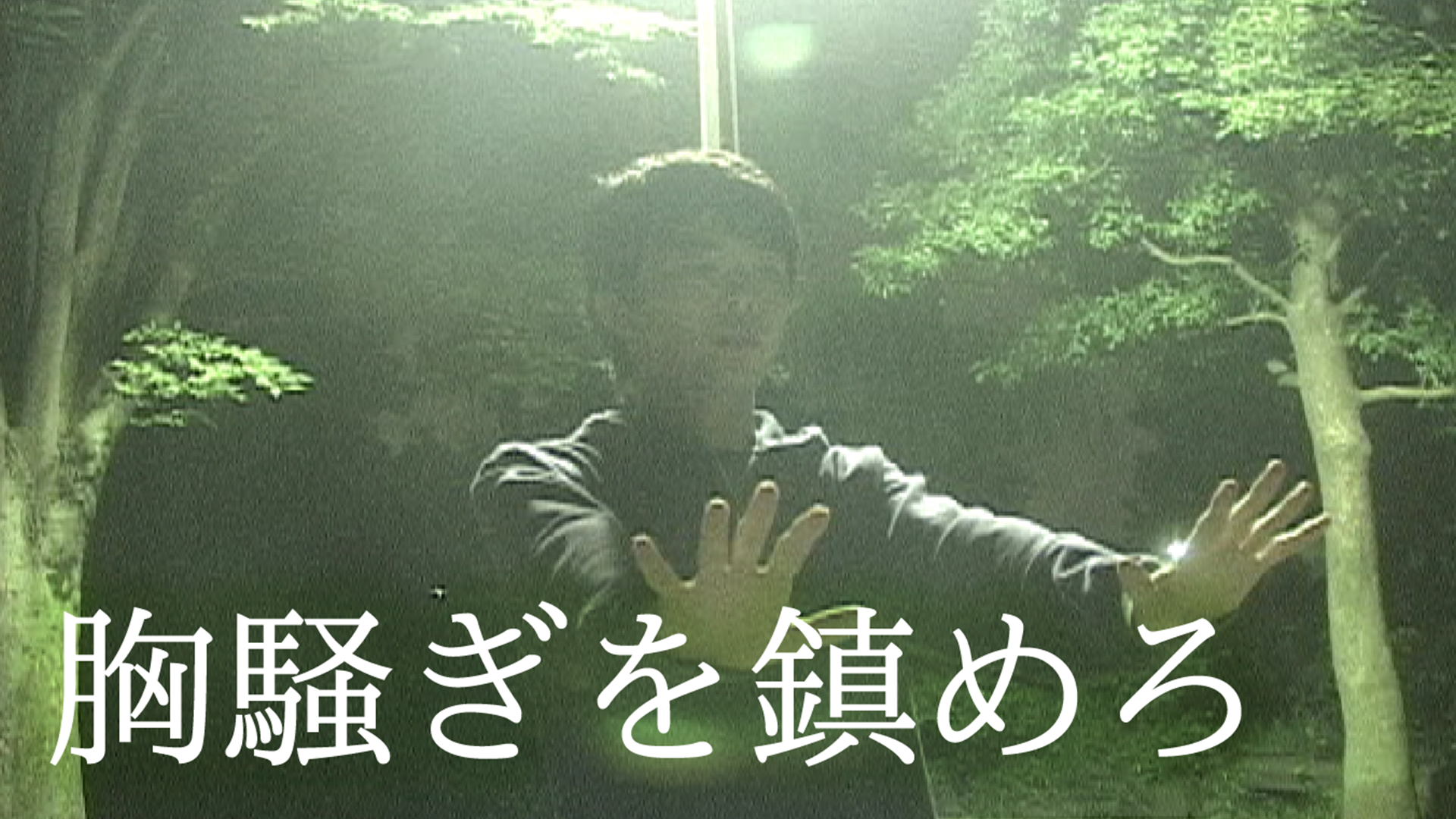 胸騒ぎを鎮めろ - サムネイル