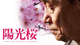 陽光桜　－YOKO THE CHERRY BLOSSOM－