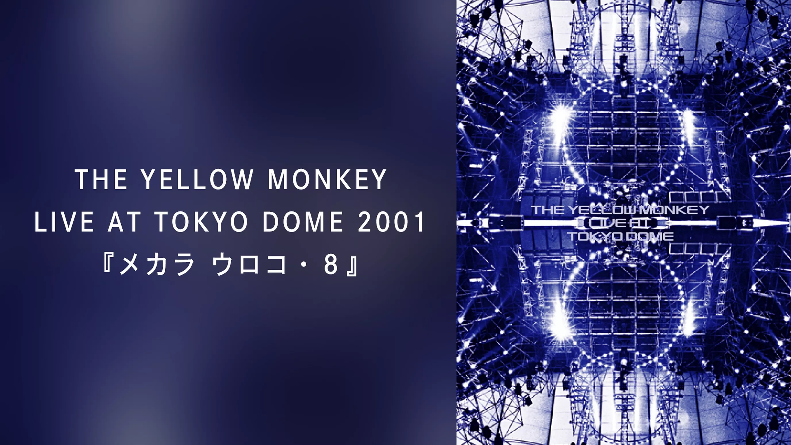 THE YELLOW MONKEY LIVE AT TOKYO DOME 2001『メカラ ウロコ・８』