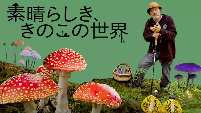 素晴らしき、きのこの世界