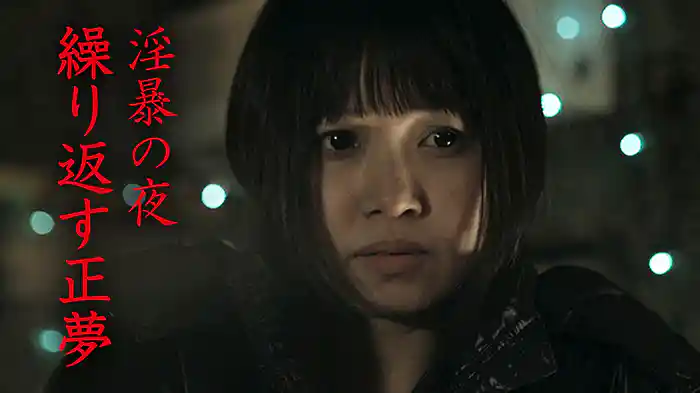 淫暴の夜　繰り返す正夢