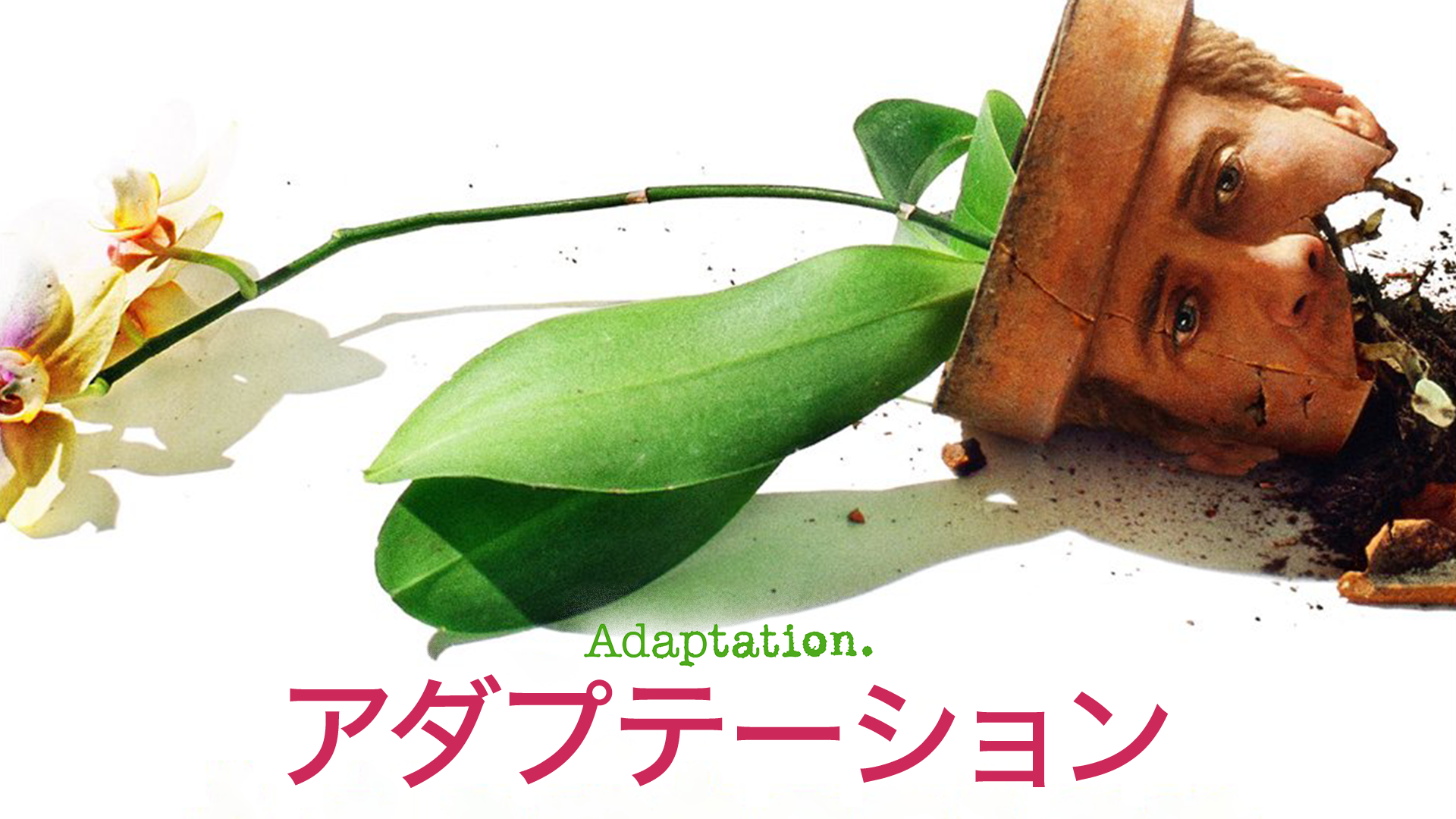 アダプテーション - サムネイル