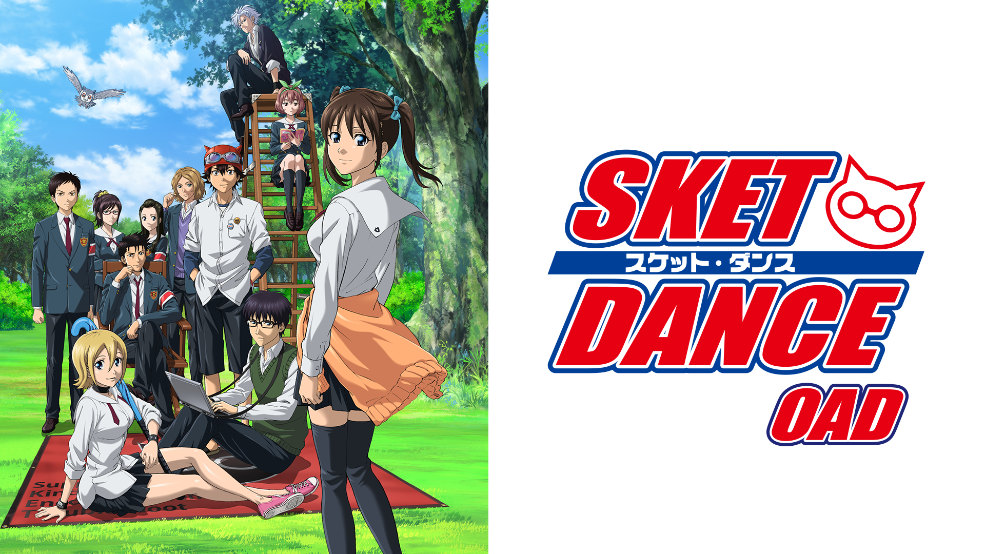 SKET DANCE(OAD)(アニメ / 2013) - 動画配信 | U-NEXT 31日間無料 