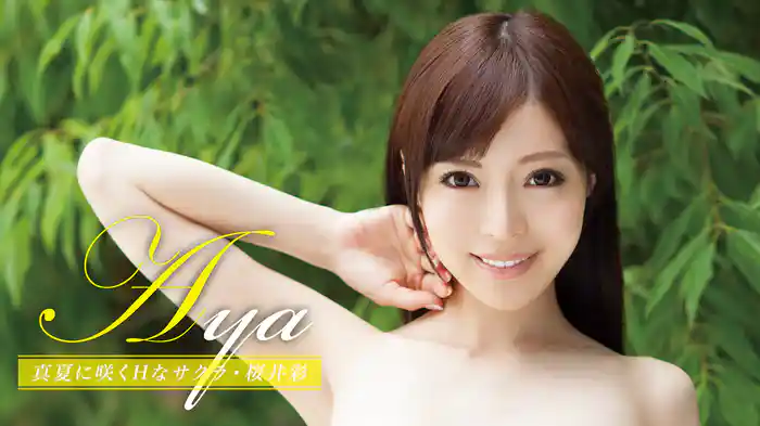 桜井彩『Aya 真夏に咲くHなサクラ』