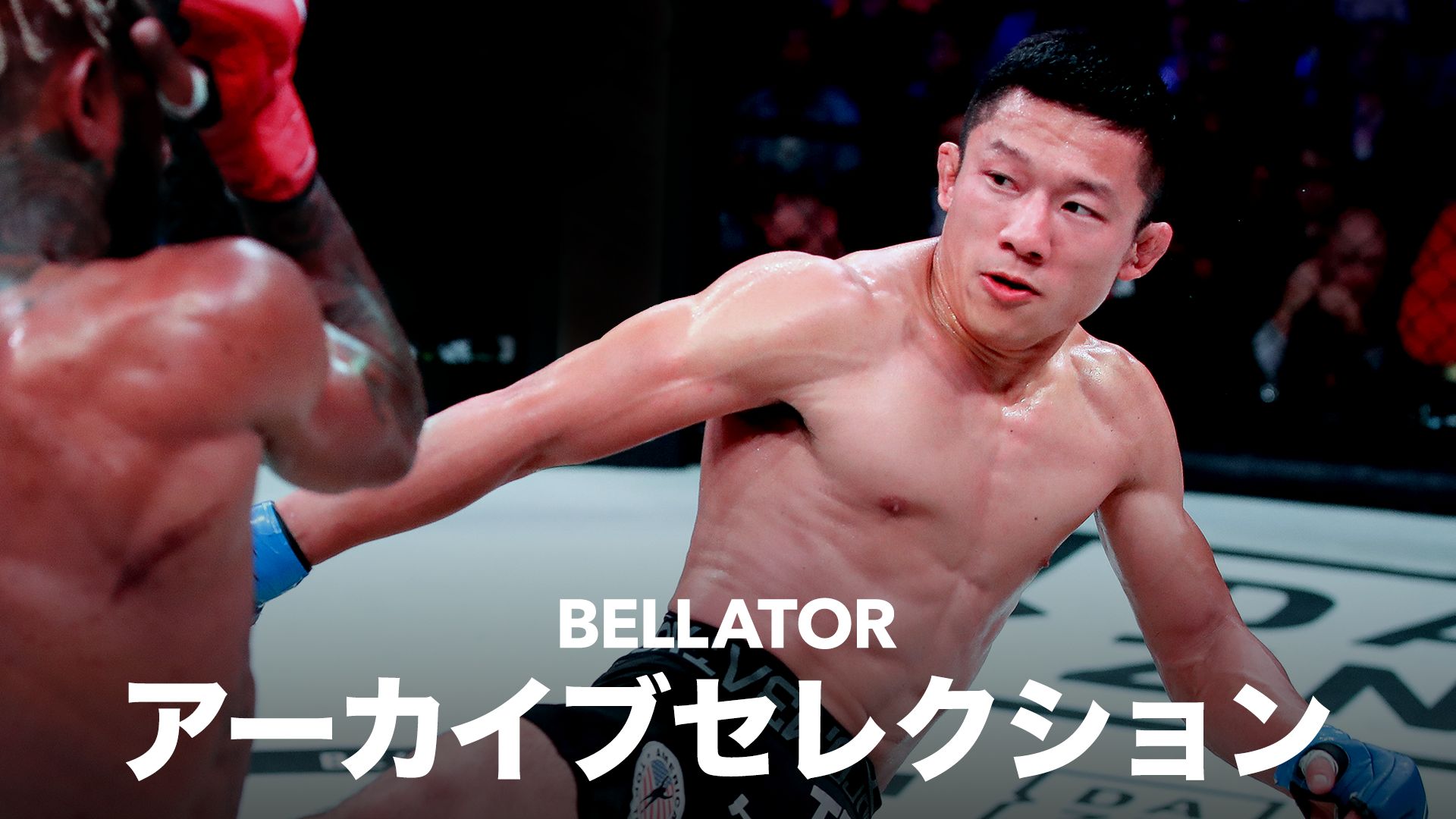 BELLATORアーカイブセレクション