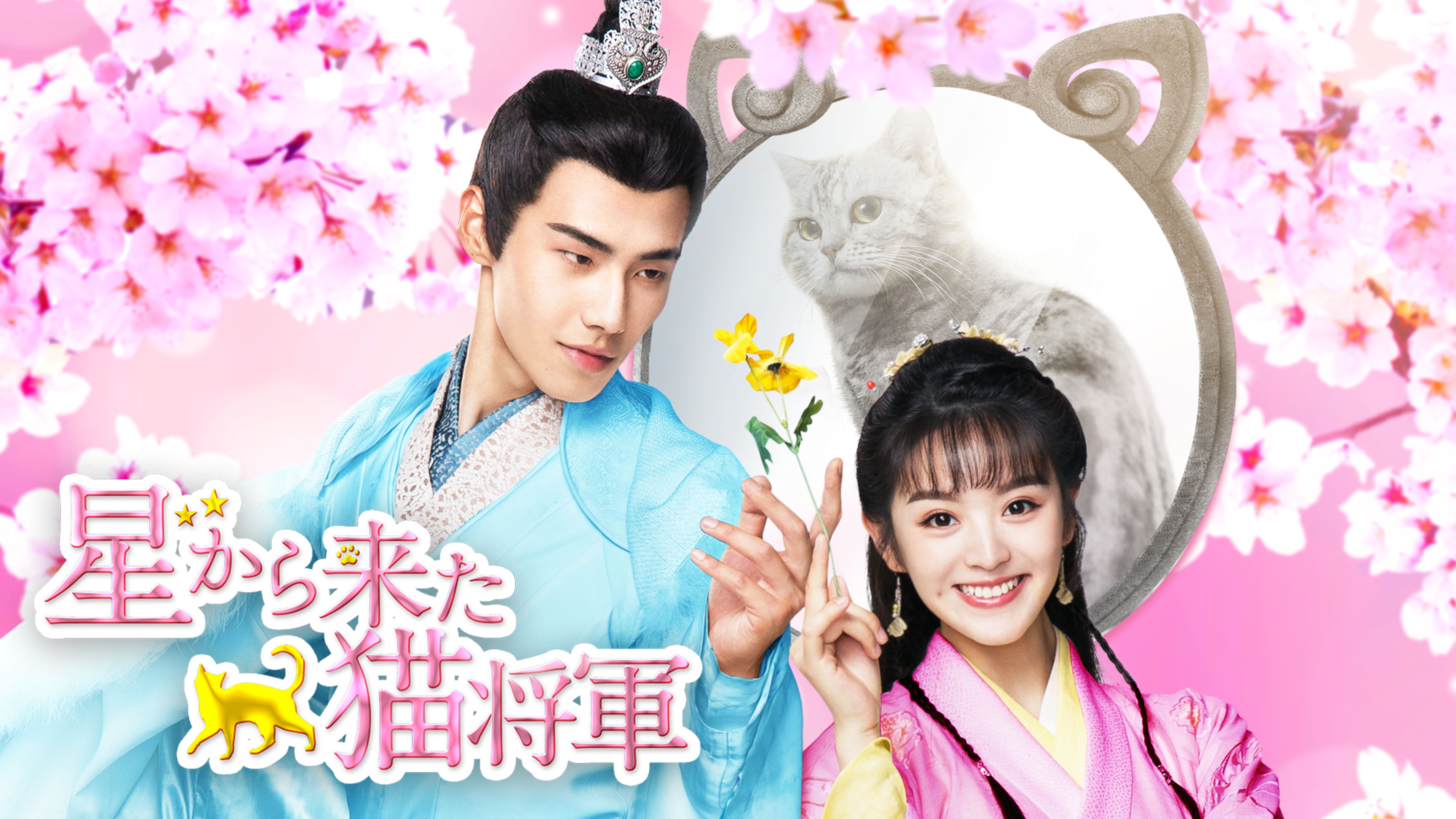 星から来た猫将軍 韓流 アジア 21 の動画視聴 U Next 31日間無料トライアル