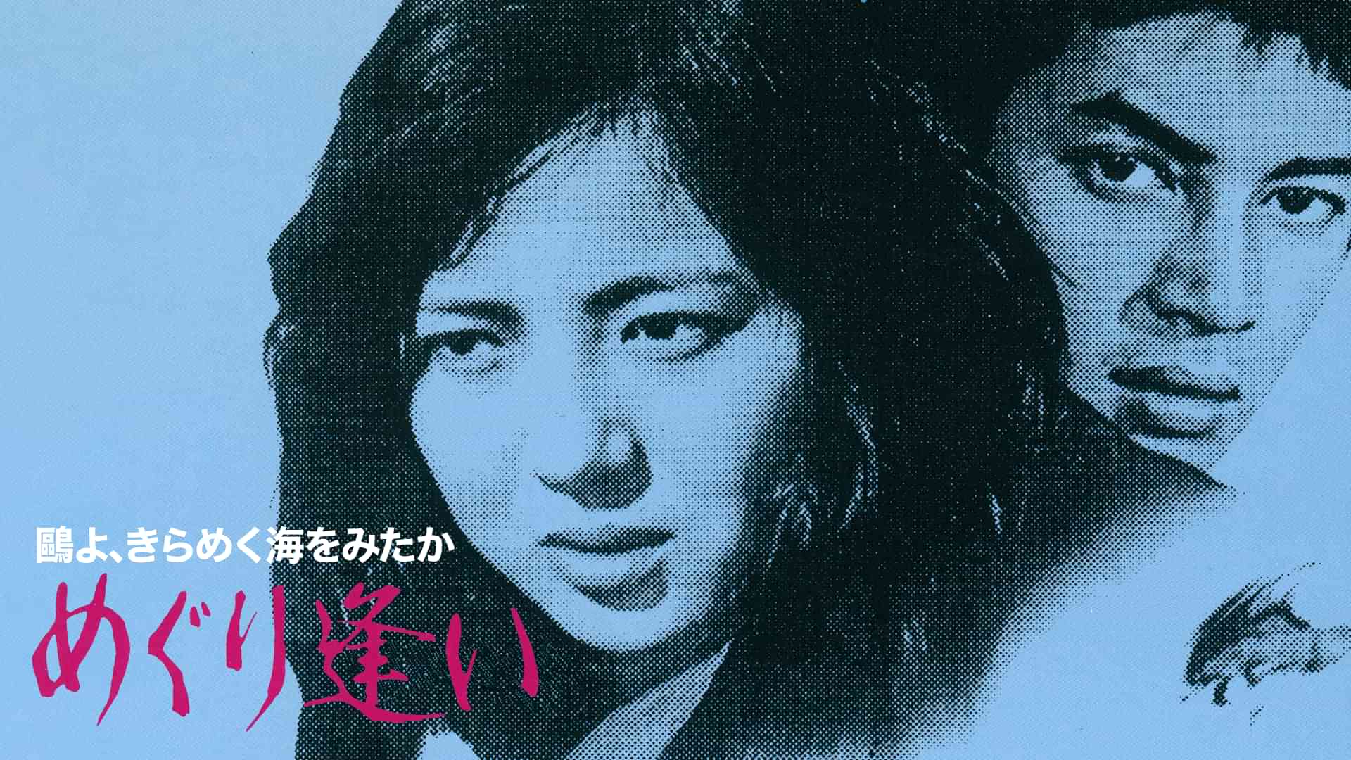 鷗よ、きらめく海をみたか めぐり逢い