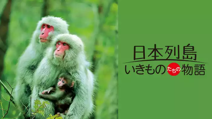 日本列島 いきものたちの物語
