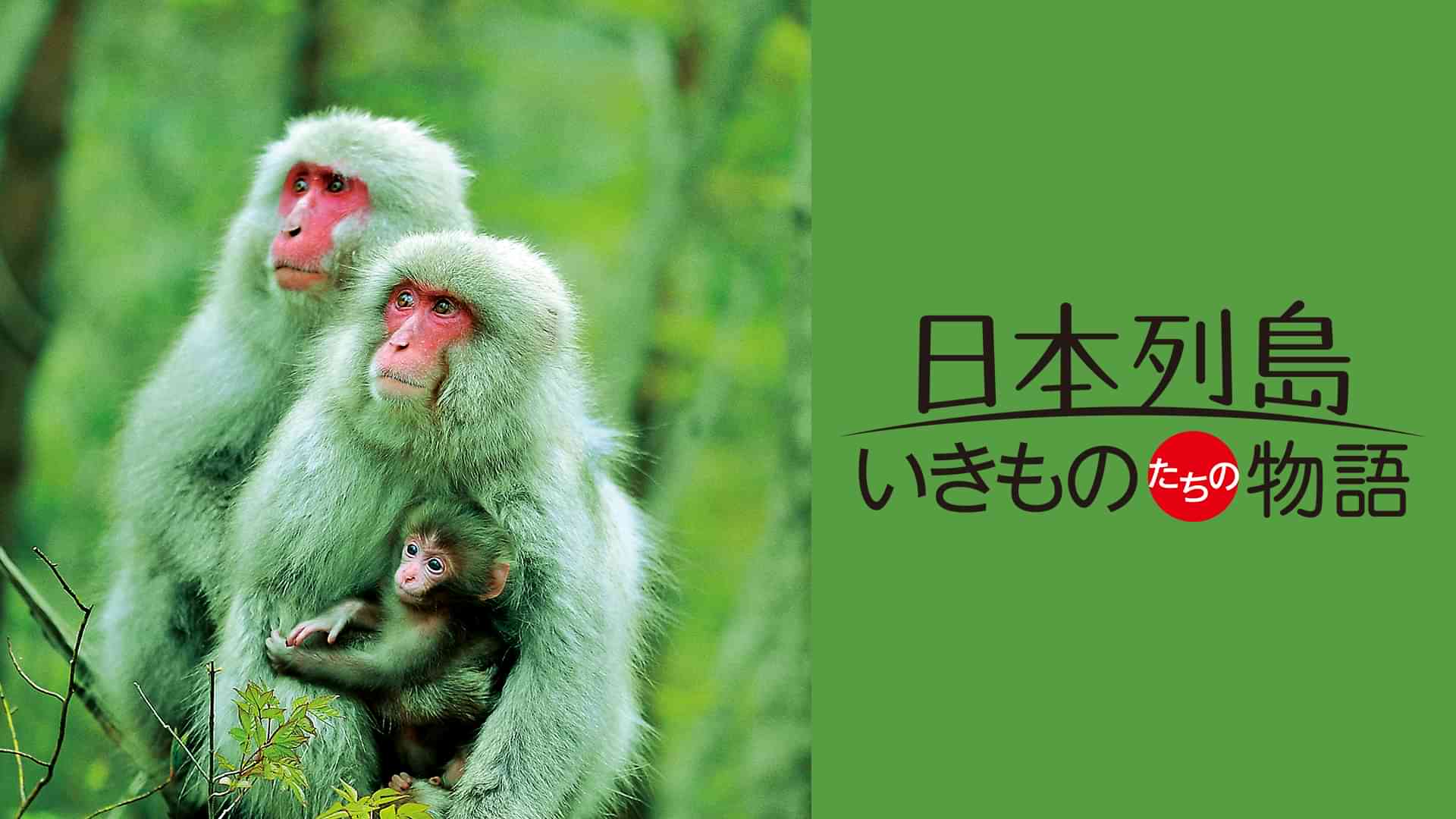 日本列島 いきものたちの物語