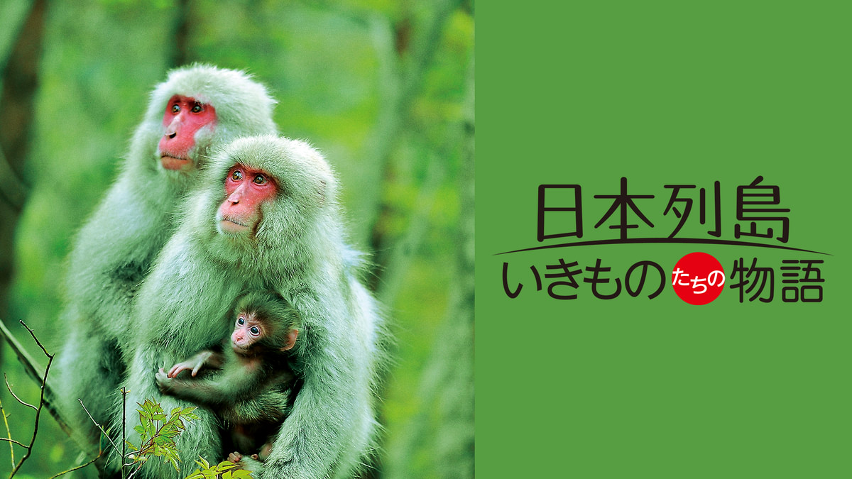 日本列島 いきものたちの物語