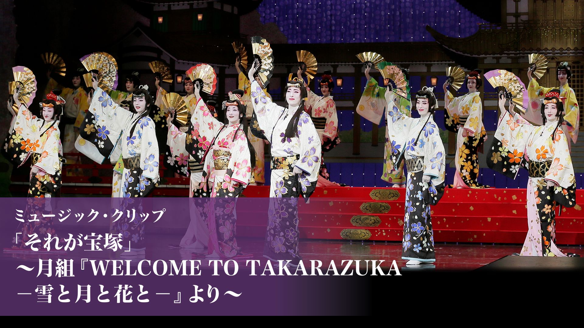 ミュージック・クリップ「それが宝塚」〜月組 『WELCOME TO TAKARAZUKA -雪と月と花と-』より〜
