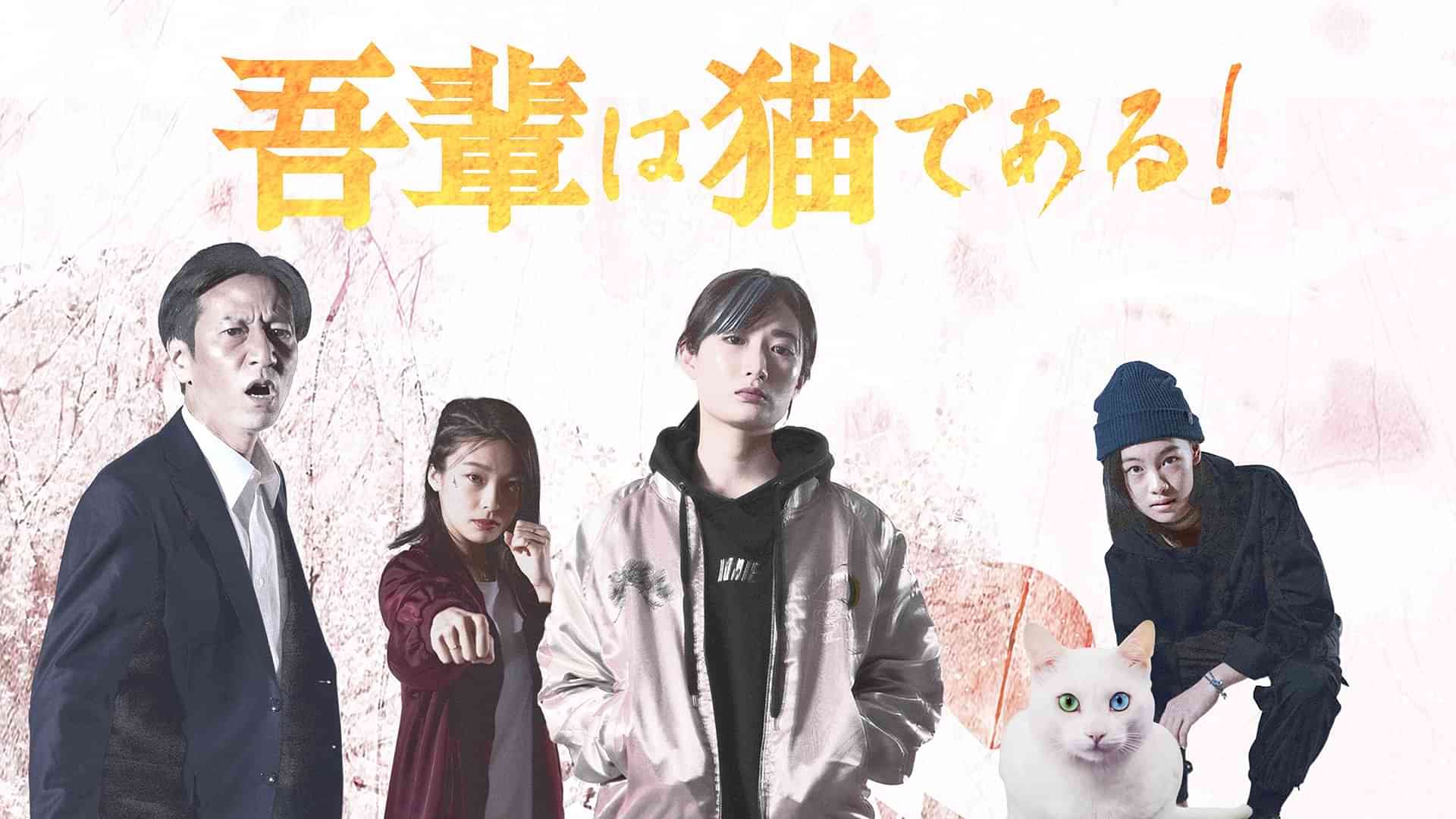 吾輩は猫である！