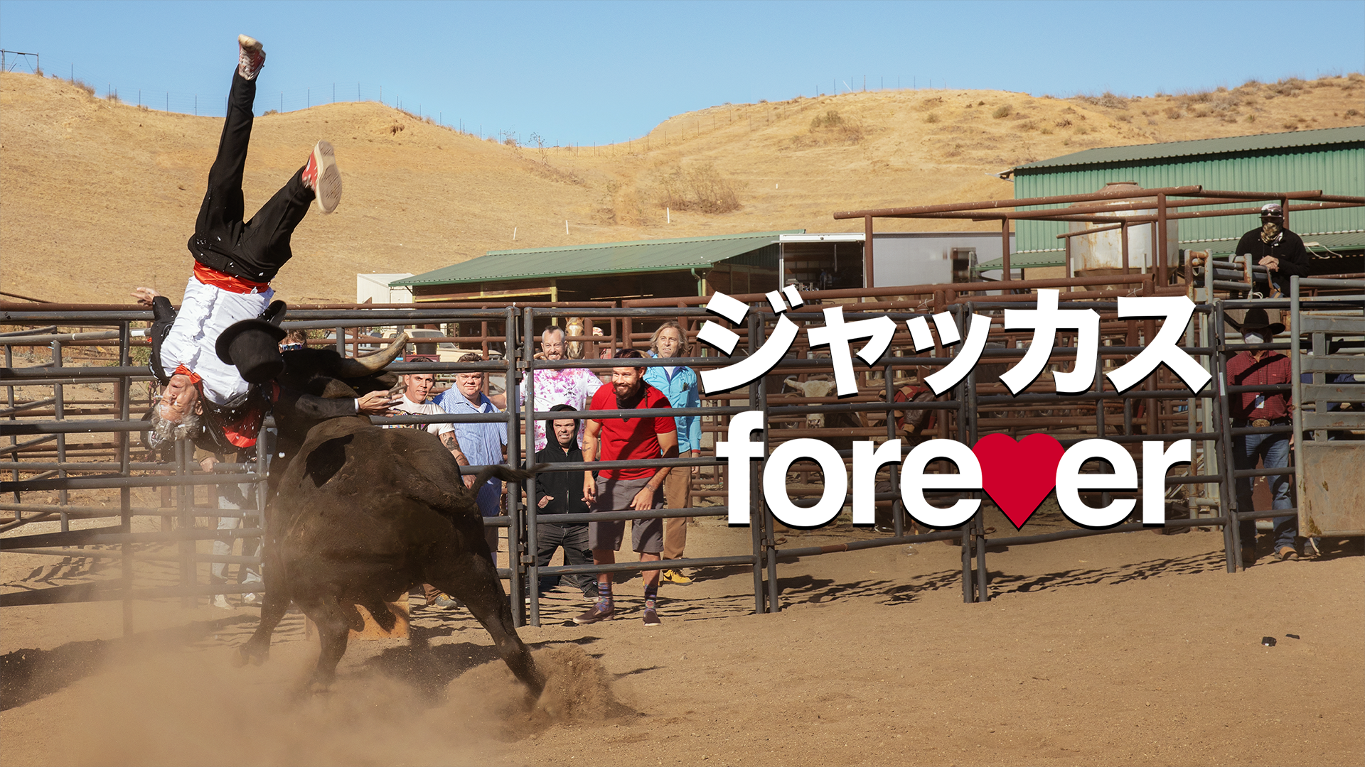 ジャッカス FOREVER - サムネイル
