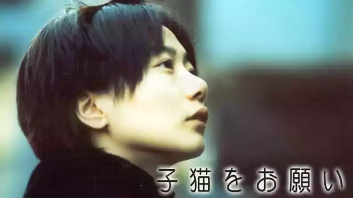 子猫をお願い