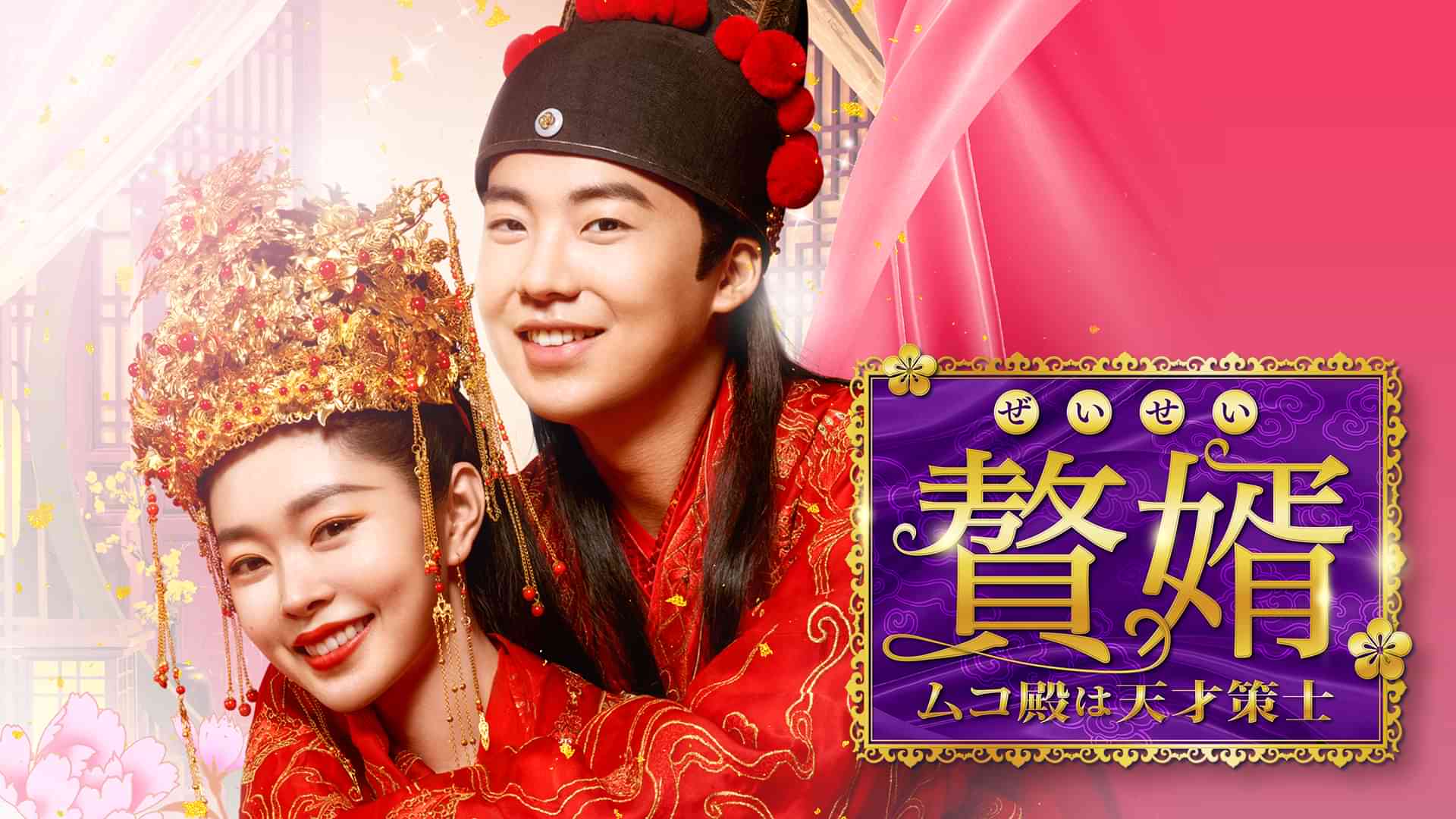 贅婿[ぜいせい]～ムコ殿は天才策士～